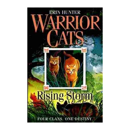 Warrior Cat : Rising Storm PB