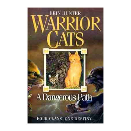 Warrior Cat : A Dangerous Path PB