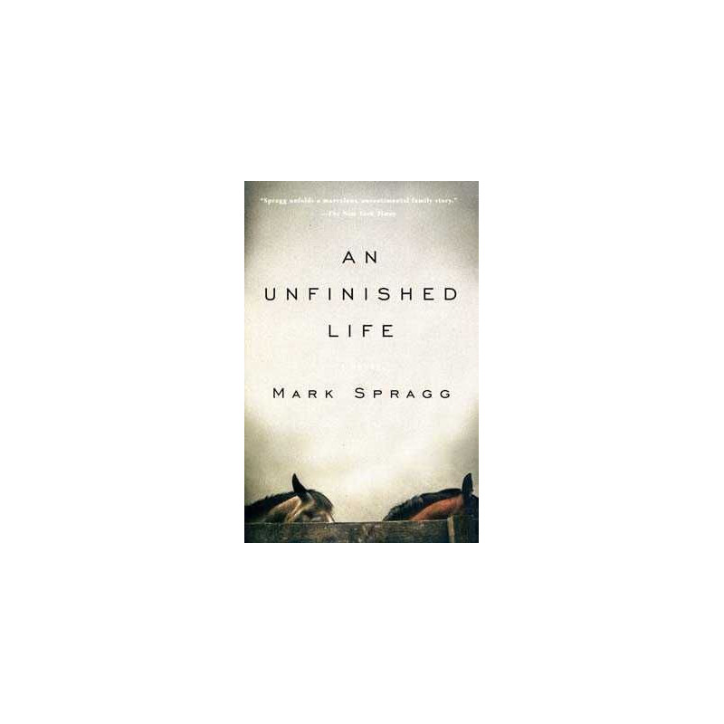 Unfinished Life