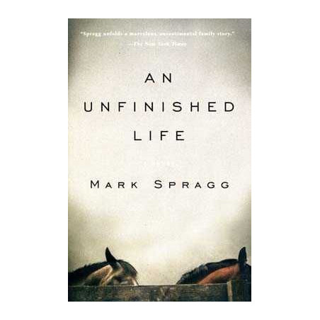 Unfinished Life