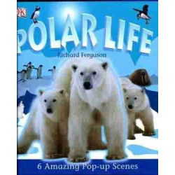 Polar Life Pop Out