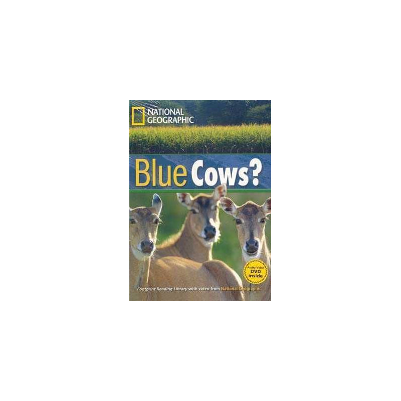 Blue Cows B1 + DVD