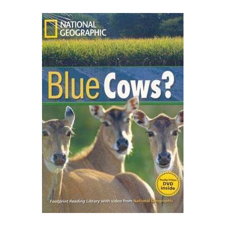 Blue Cows B1 + DVD