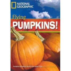 Flying Pumpkins B1 + DVD