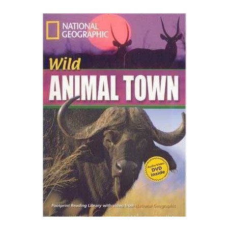 Wild Animal Town B1 + DVD