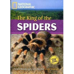 King of the Spiders C1 + DVD