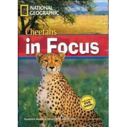 Cheetahs in Focus B2 + DVD