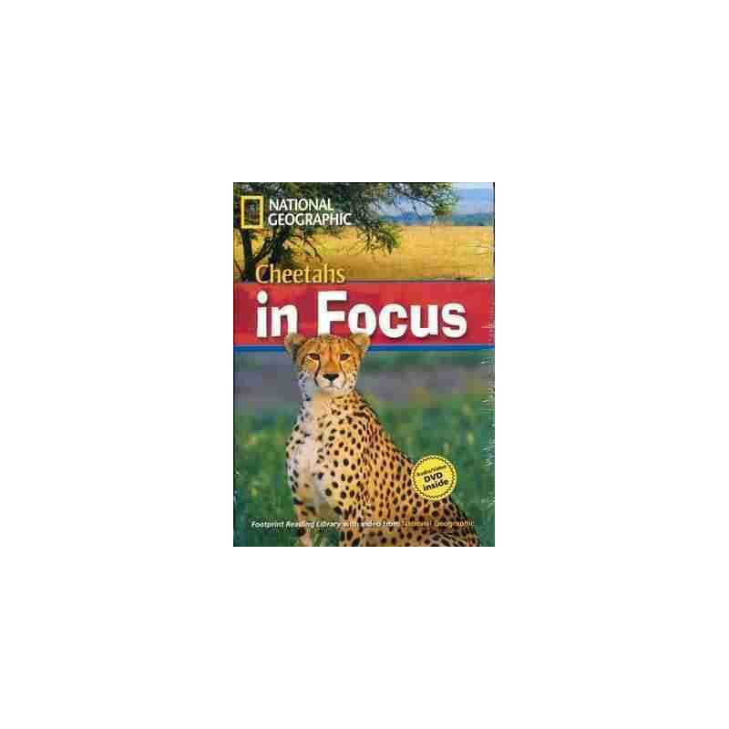 Cheetahs in Focus B2 + DVD