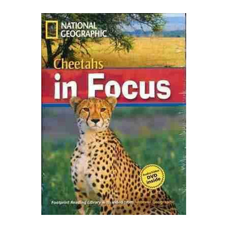 Cheetahs in Focus B2 + DVD