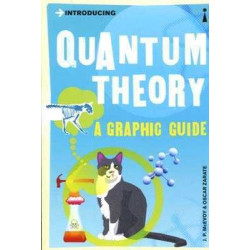 Quantum Theory a Graphic Guide