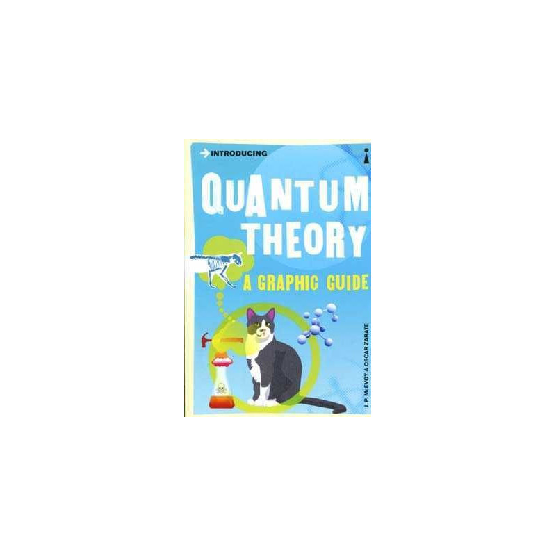 Quantum Theory a Graphic Guide