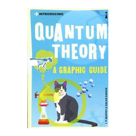 Quantum Theory a Graphic Guide