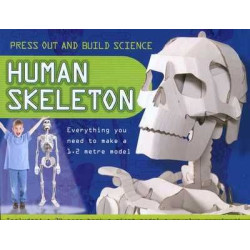 3 D Human Skeleton