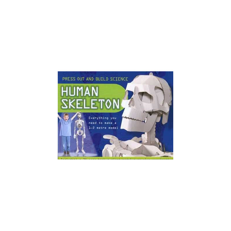 3 D Human Skeleton