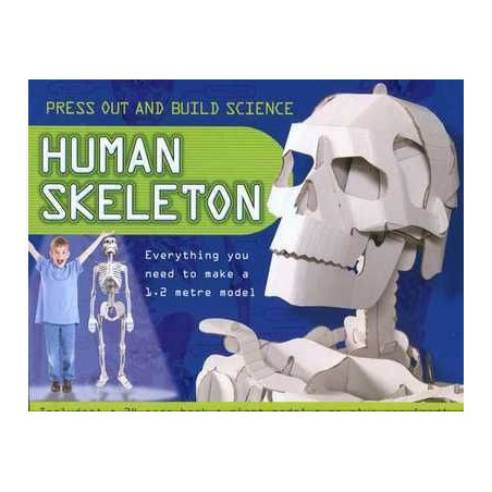 3 D Human Skeleton