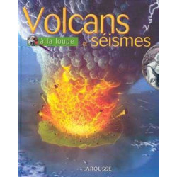 Volcans et Seismes a la Loup