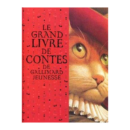 Grand Livre Contes de Gallimard Jeunesse