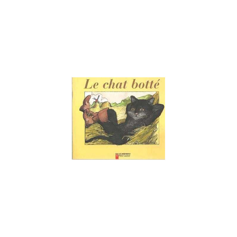 Chat Botte