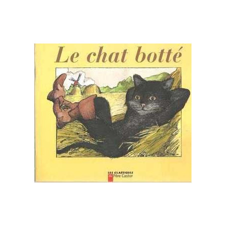 Chat Botte