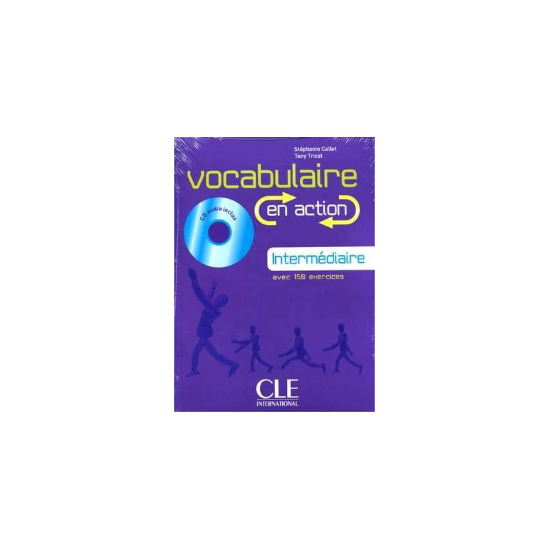 Vocabulaire en Action Intermediaire A2--B1+ cd audio