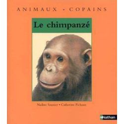 Animaux . Copains : Le Chimpanze