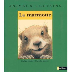 Animaux . Copains : La Marmotte