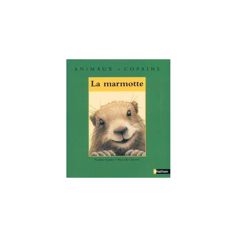 Animaux . Copains : La Marmotte