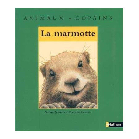 Animaux . Copains : La Marmotte