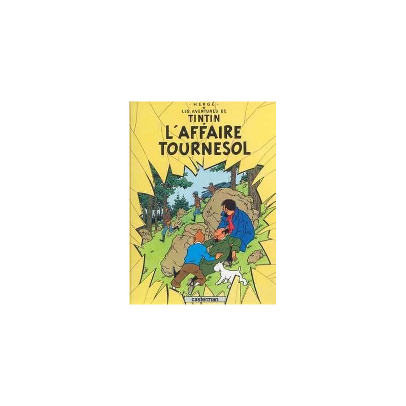 Aventures de Tintin 18 : L  Affair Tournesol