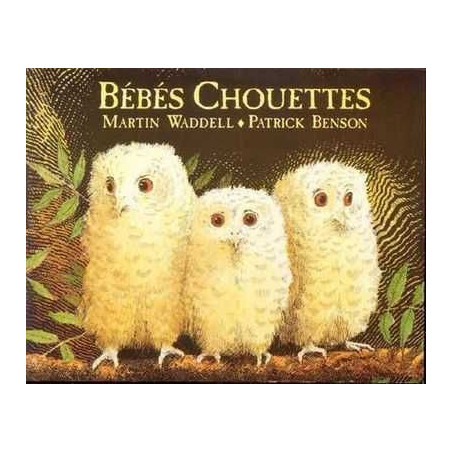 Bebes Chouettes