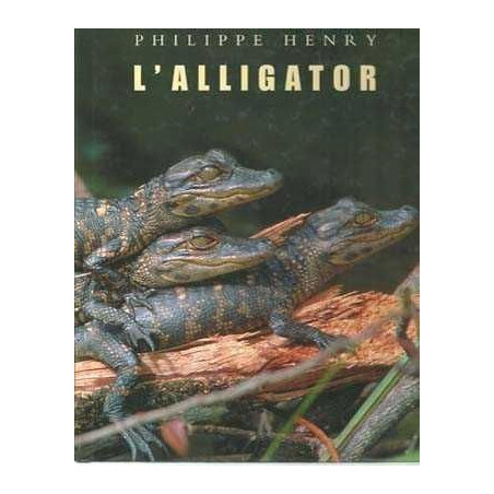 Alligator