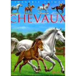 Grande Imagerie: Chevaux