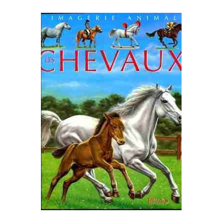 Grande Imagerie: Chevaux