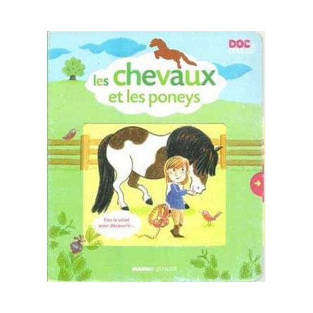 Chevaux Et Lees Poneys