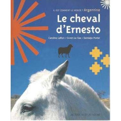 Cheval Ernesto Argentine