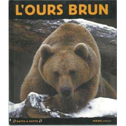 Ours brun  . Vie des animaux