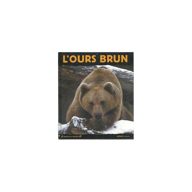 Ours brun  . Vie des animaux