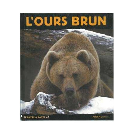 Ours brun  . Vie des animaux