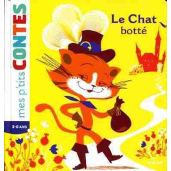 Chat Botte