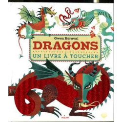 Dragons . Livre au Toucher