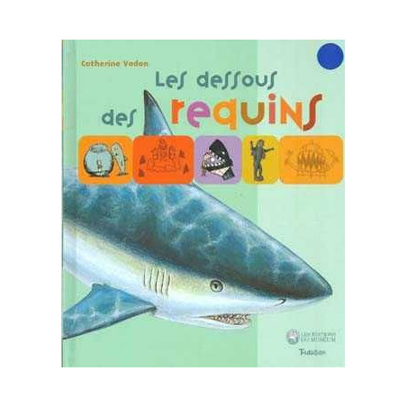 Dessous des Requins