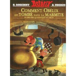 Comment Obelix est tombe dans la Marmite du druide quand il était petit