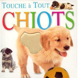 Touche a Tout : Chiots