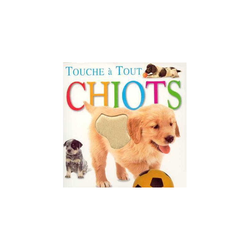 Touche a Tout : Chiots