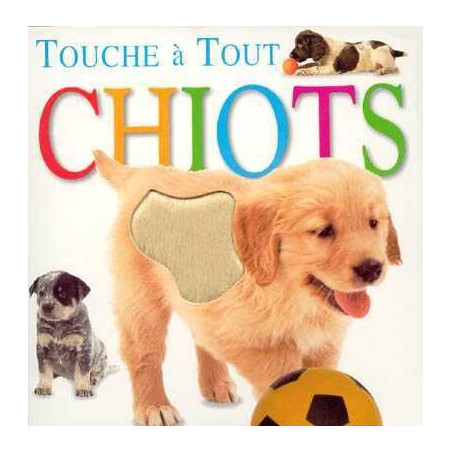 Touche a Tout : Chiots