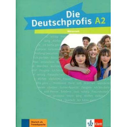 Die Deutschprofis A2