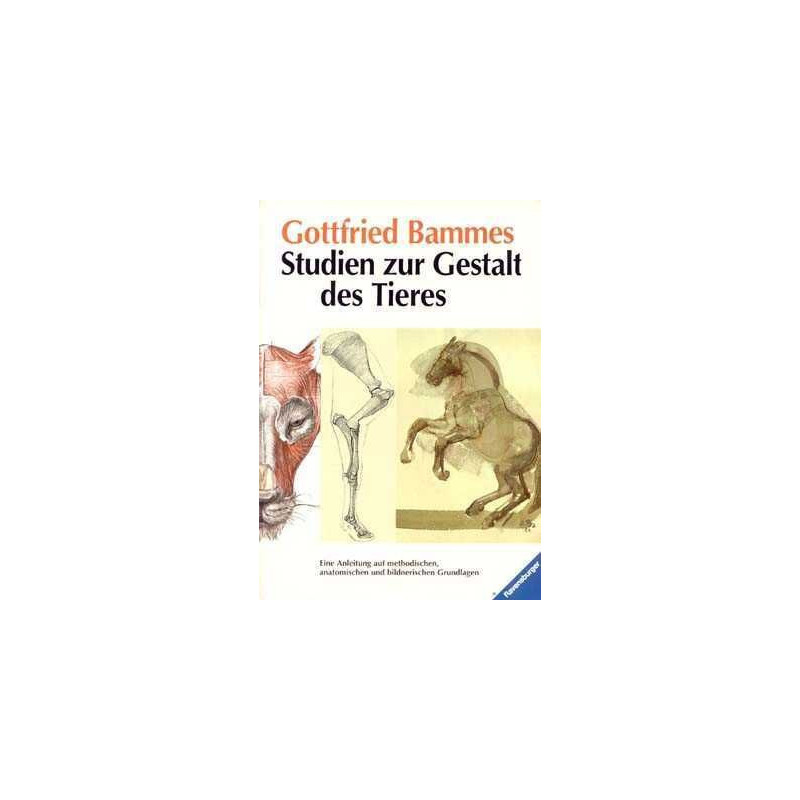 Studien Zur Gestalt des Tieres