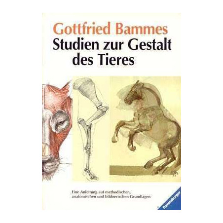 Studien Zur Gestalt des Tieres