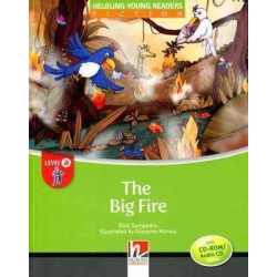 Big Fire + cd rom / audio Starters A