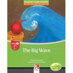 Big Wave + cd rom/audio Level A